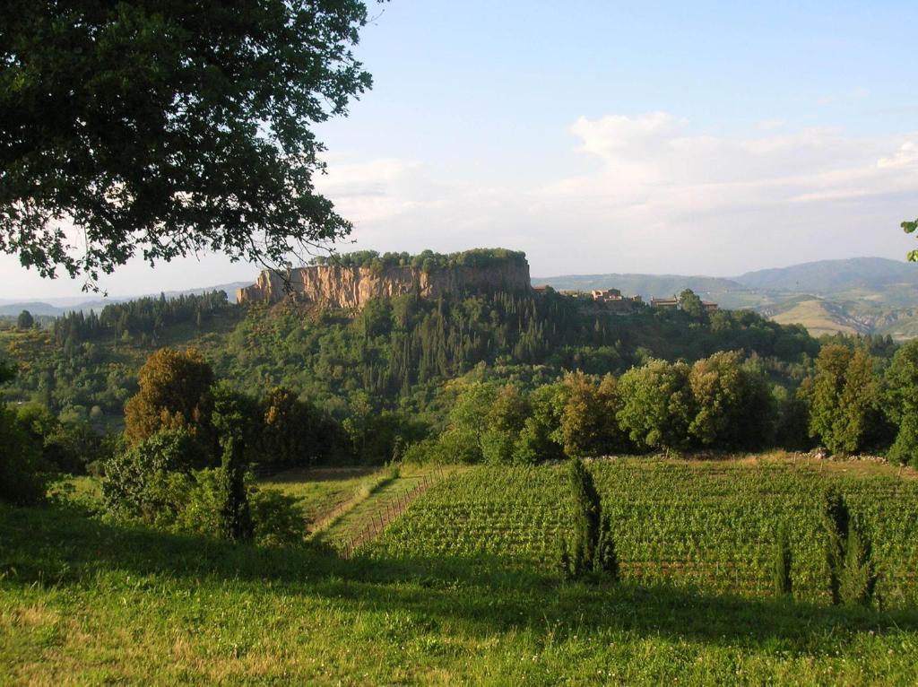 Villa La Chiusetta Orvieto Exterior foto