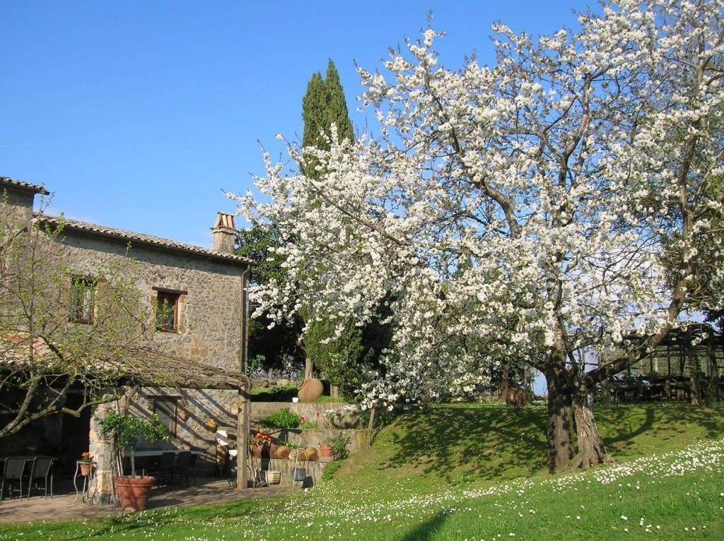 Villa La Chiusetta Orvieto Exterior foto